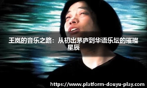 王岚的音乐之路：从初出茅庐到华语乐坛的璀璨星辰